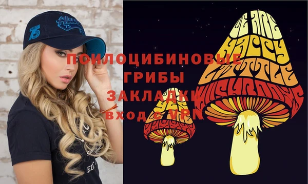 гашик Армянск