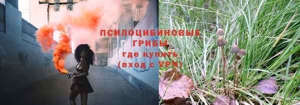 герыч Арсеньев