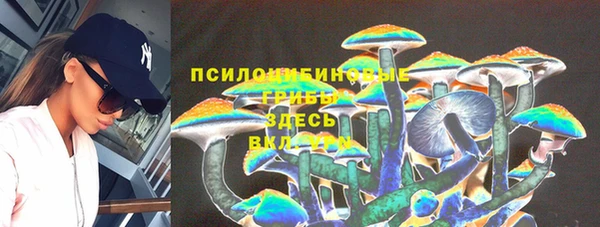 гашик Армянск