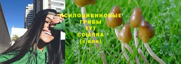 а пвп мука Баксан